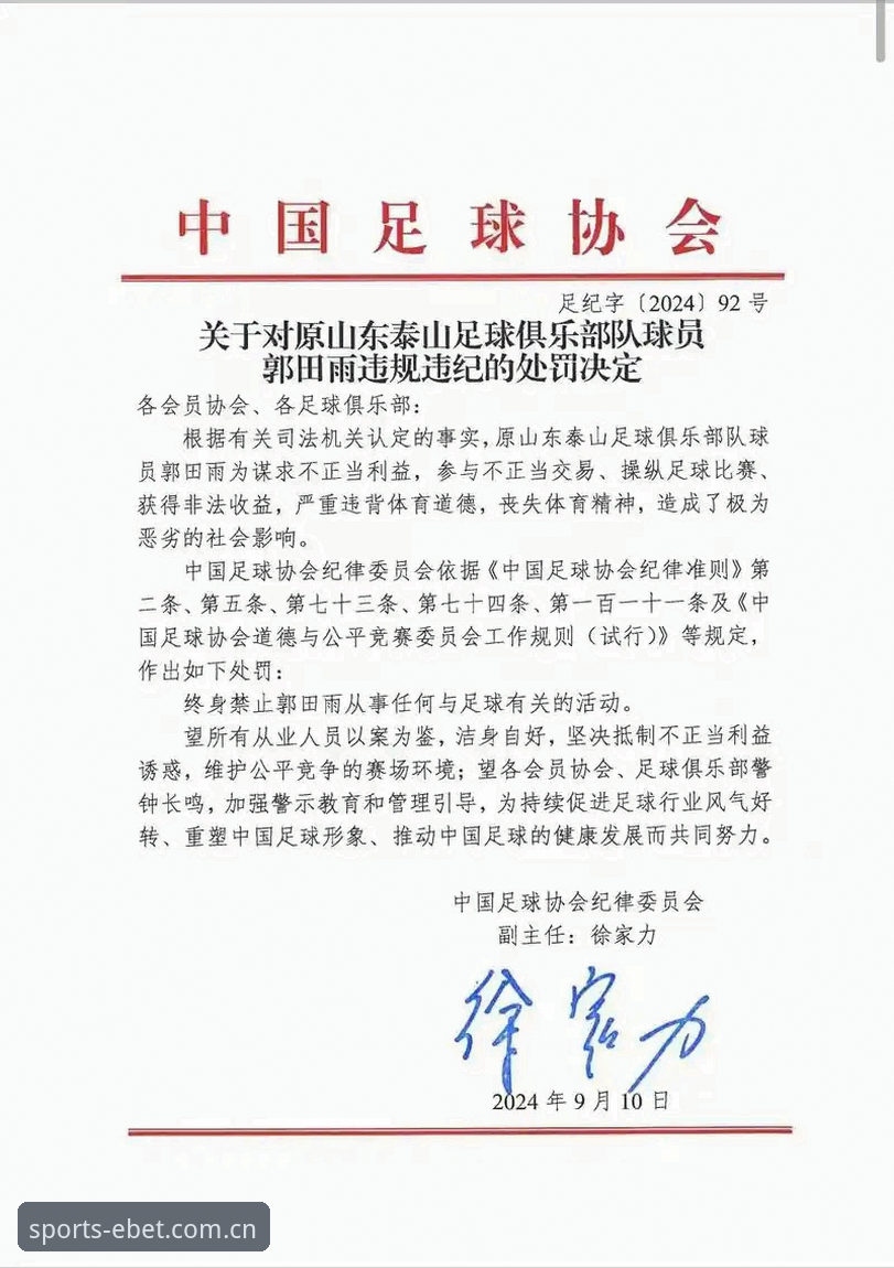 易倍官方网站 足协第三批禁足名单详解:65人受罚,终身禁足17人